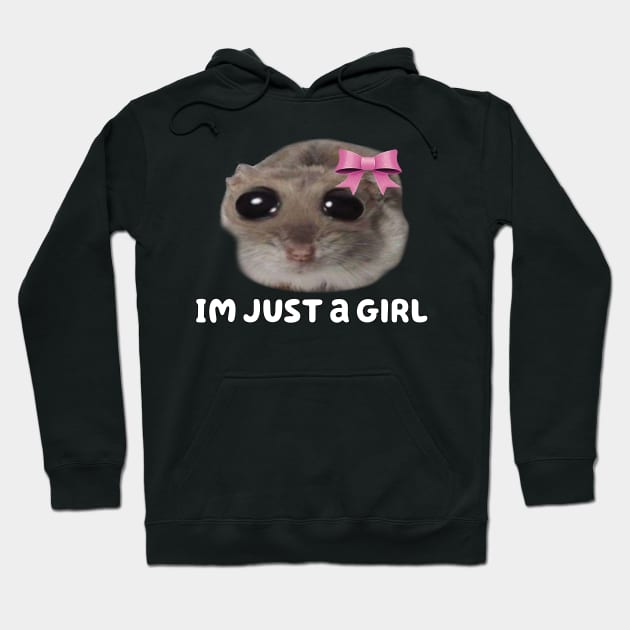 Sad Hamster, Hampter Meme, Viral Funny Trendy Hamster Hoodie by Halby